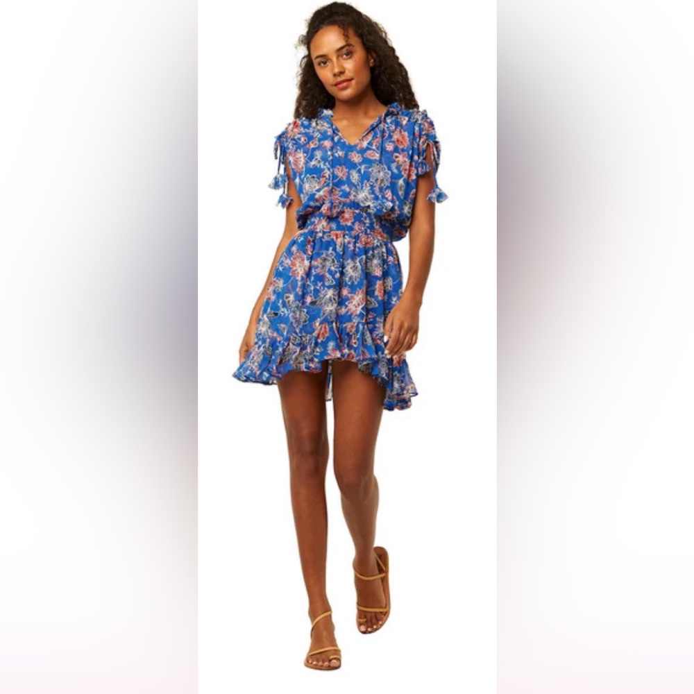 **Sale**MISA
Dominique Floral Chiffon Mini Dress Size Small